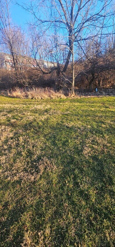 Building Photo - Homestead