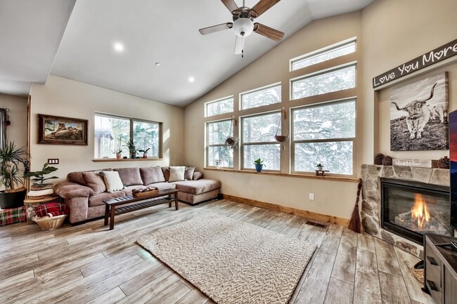 Living Room - 11336 Wolverine Cir