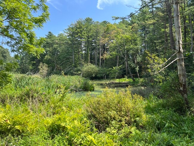 Pond (not swimmable) - 175 Whipple Rd