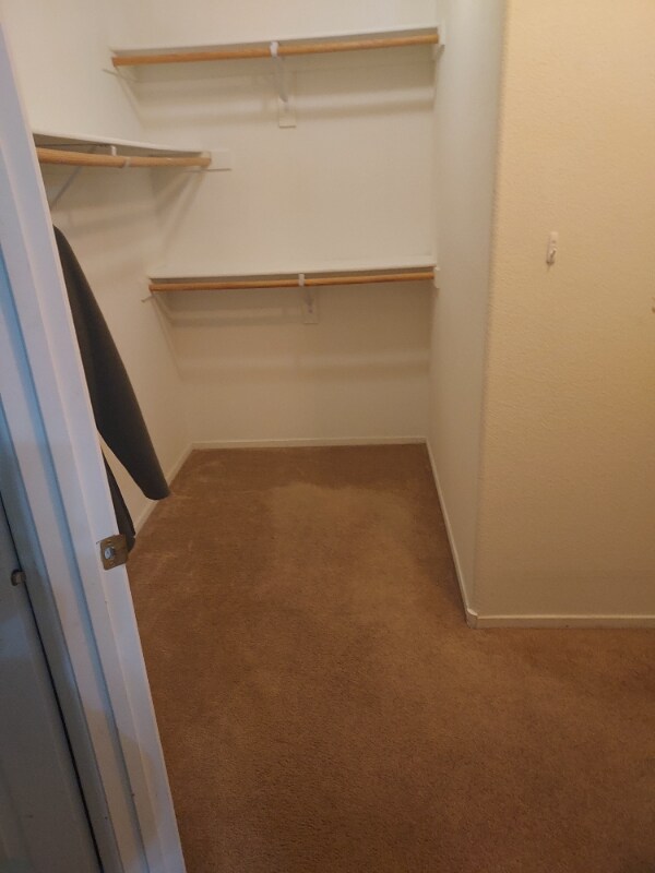 Building Photo - 833 Aspen Peak Loop