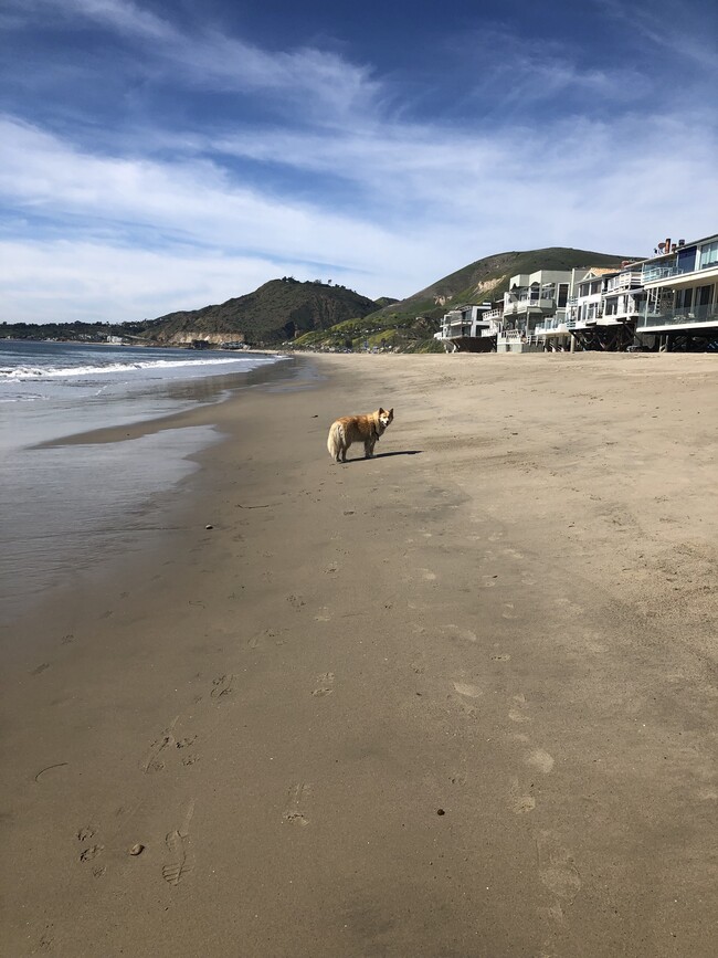 sand - 25414 Malibu Rd