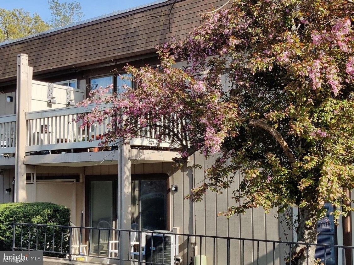 Building Photo - 8500 Barrington Ct