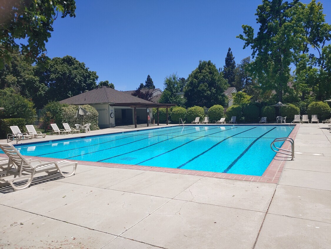 Foto principal - 20216 Northbrook Sq