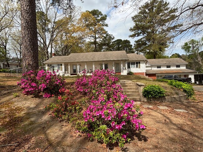 Vista mientras se conduce hasta la propiedad. - 100 Twin Acres Dr