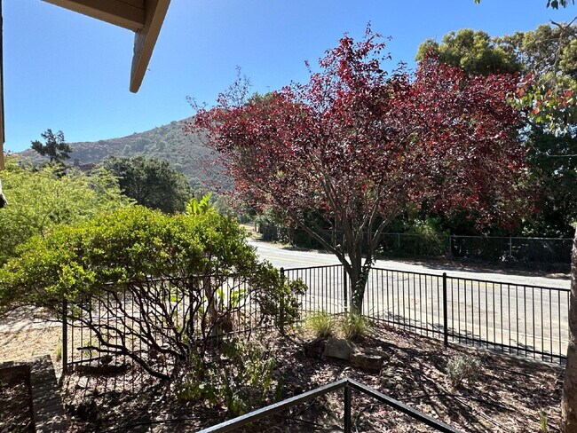 Foto del edificio - Charming 1928 Vintage Cottage Near Cal Poly – Available Now