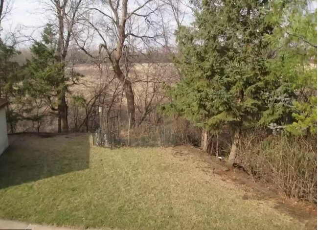 backyard - 4422 W 36th St