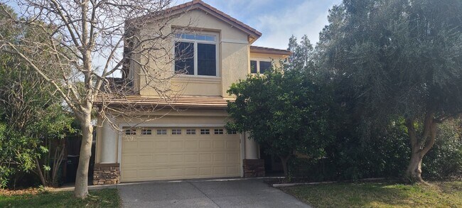 Building Photo - Beautiful 6 bed / 3 bath Energy Efficient ...