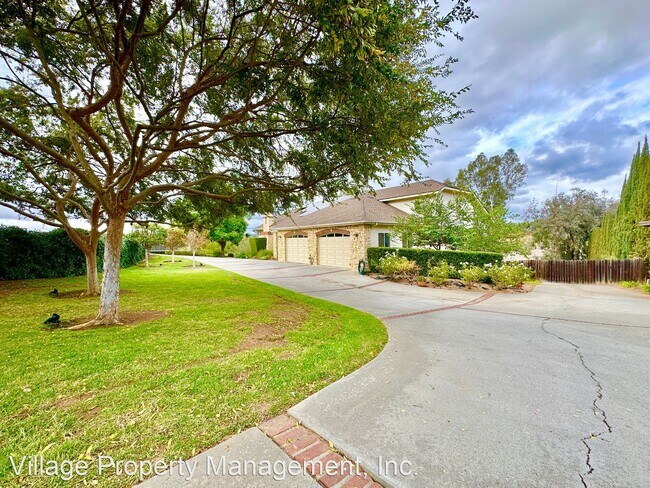 Building Photo - 4 br, 3.5 bath House - 2950 Amber Vista