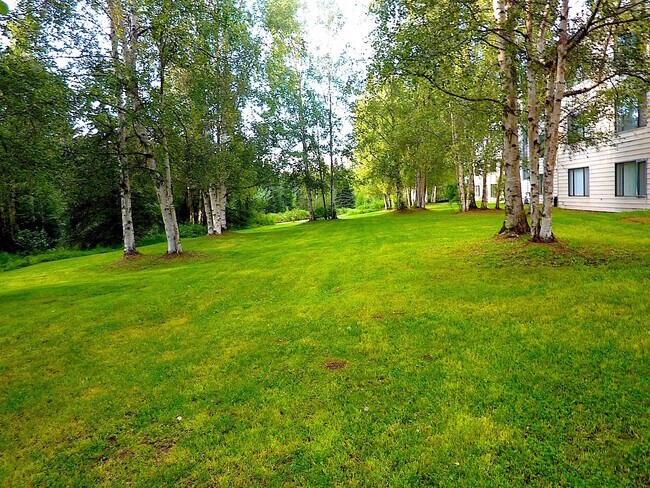 Building Photo - One Bedroom in South Anchorage by Campbell Creek