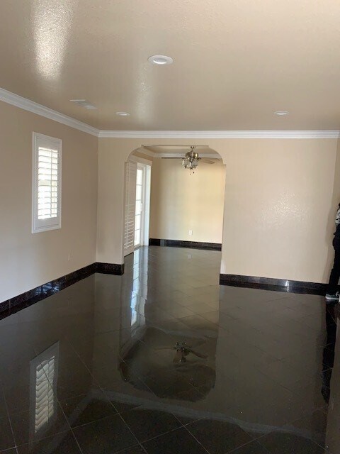 Foto del edificio - 971 Ashfield Ave