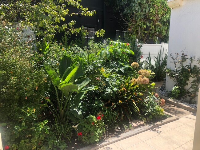 front courtyard garden - 4269 McClung Dr