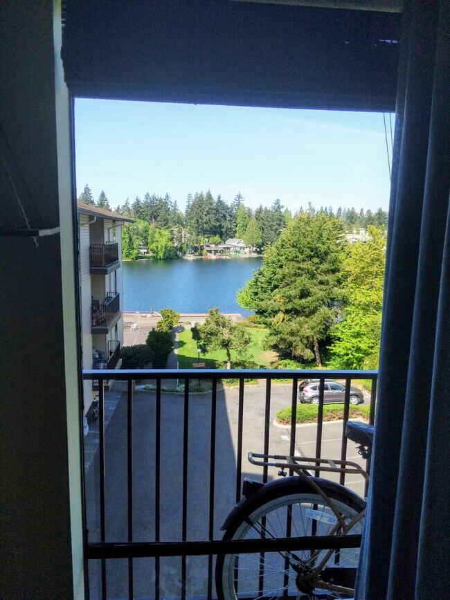 Lake view - 13229 Linden Ave N