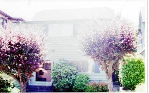 Building Photo - 216 Tacoma Ave N