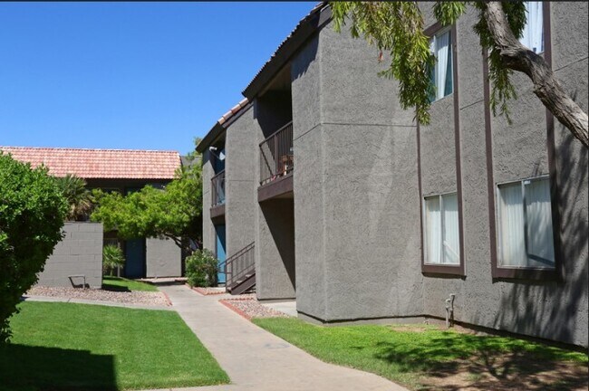 Apex On Central Apartments Phoenix Az Apartments Com