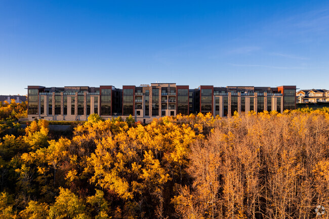 Building Photo - The Views