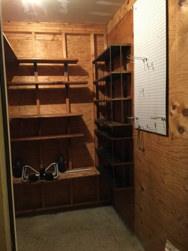 Shed outside entrance way. - 6 McKinley Street