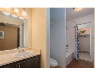 Interior Photo - Walnut Village