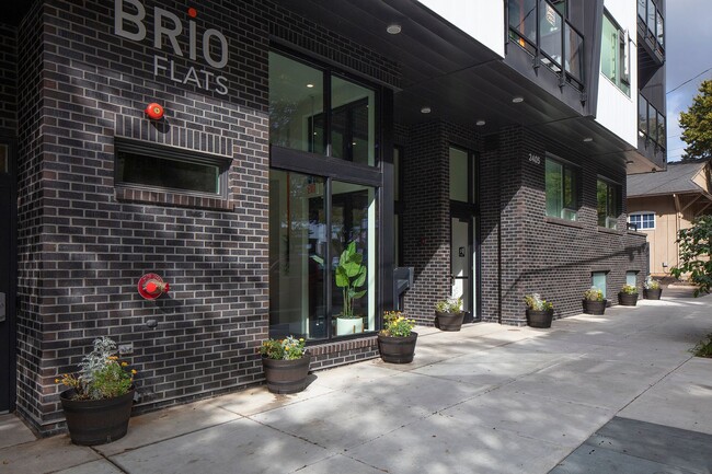 Interior Photo - Brio Flats