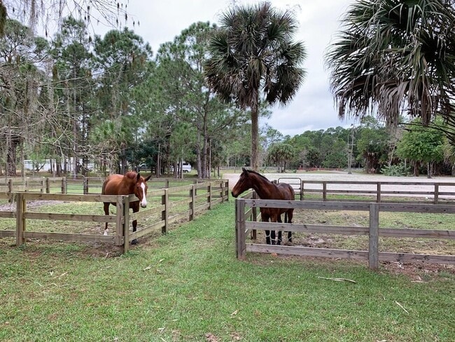 Building Photo - 1711 Stallion Dr