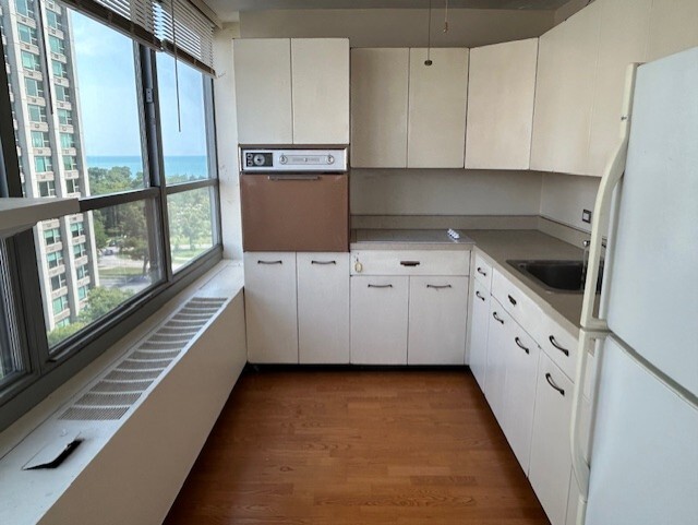 Building Photo - 3550 N Lake Shore Dr