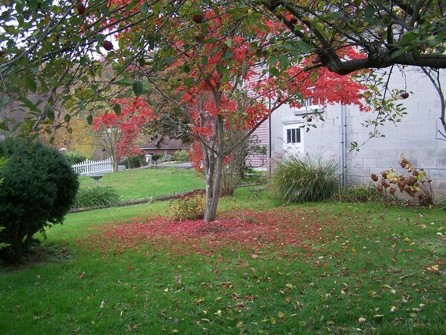 Foto del edificio - 305 N 6th St