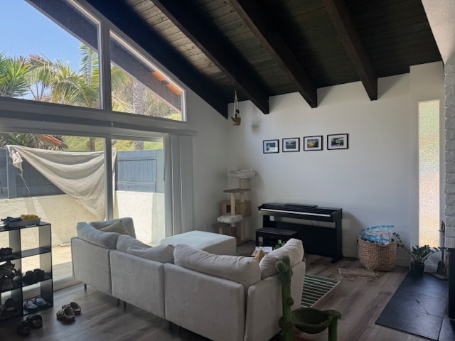 living area & patio - 2733 Harbor Blvd