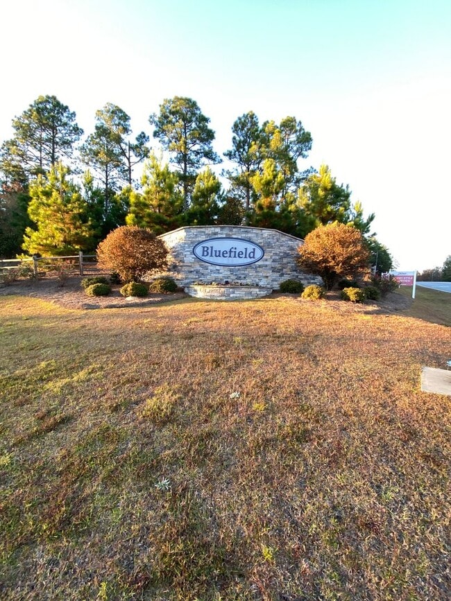 Building Photo - Brand New Build 5 Bed/3.5 Bath