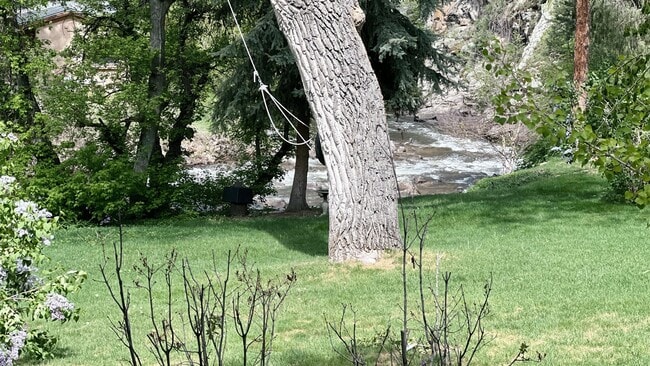 Foto del edificio - 37 Silver Spruce