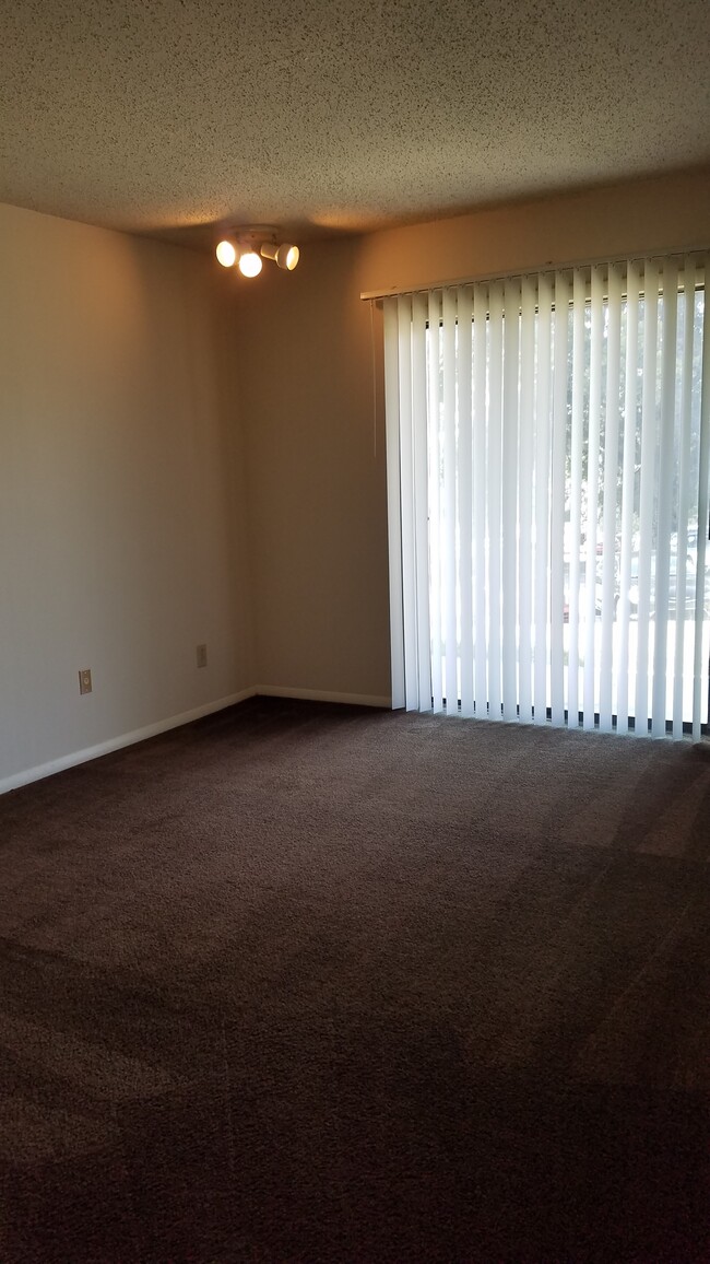 Living Rm One bed Eff. - Briargreen Apartments