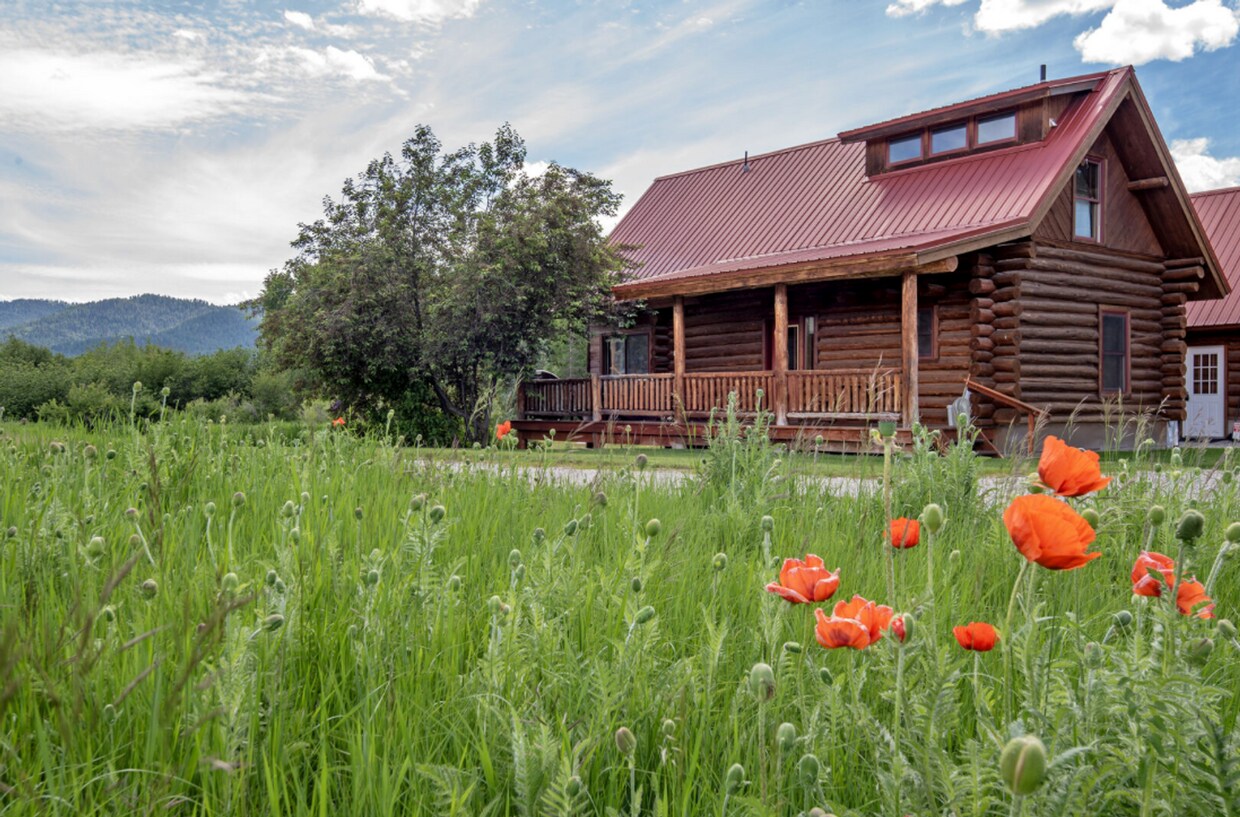 Foto principal - Charming Log Cabin and Carriage House – Do...