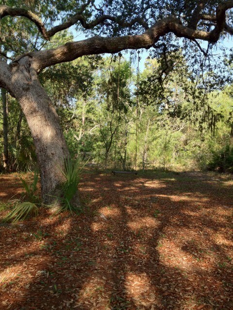 Building Photo - 8310 Happy Trail