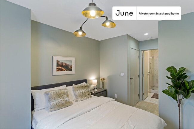 Room in Shared 5 bed/3.5 bath home - Room in Shared 5 bed/3.5 bath home