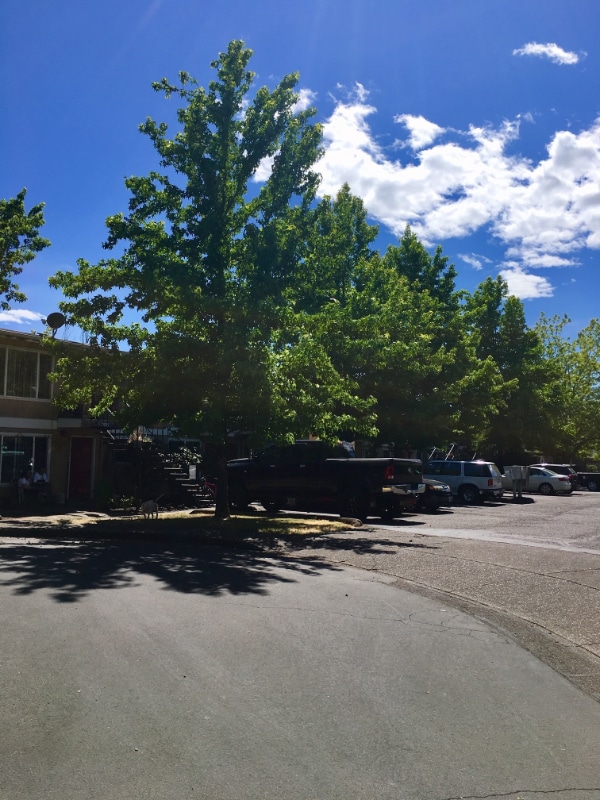 Primary Photo - 1430-1460-1460 NW Division St