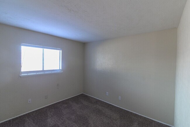 Building Photo - You do not want to miss out on this Plano home!