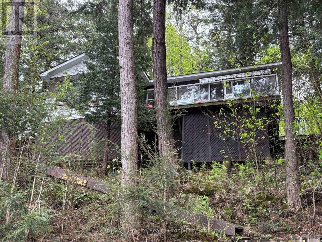 Primary Photo - 1023 Cassia Ln