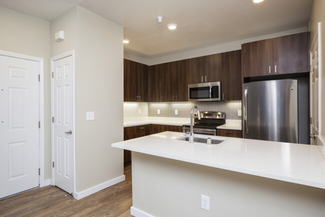 Premier Collection Kitchen with Quartz Countertops Walnut Cabinetry and Stainless Appliances - Avalon Walnut Ridge