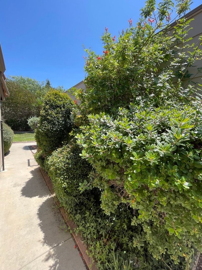 Building Photo - Great Updated  2BR/2BA Single story  Condo...
