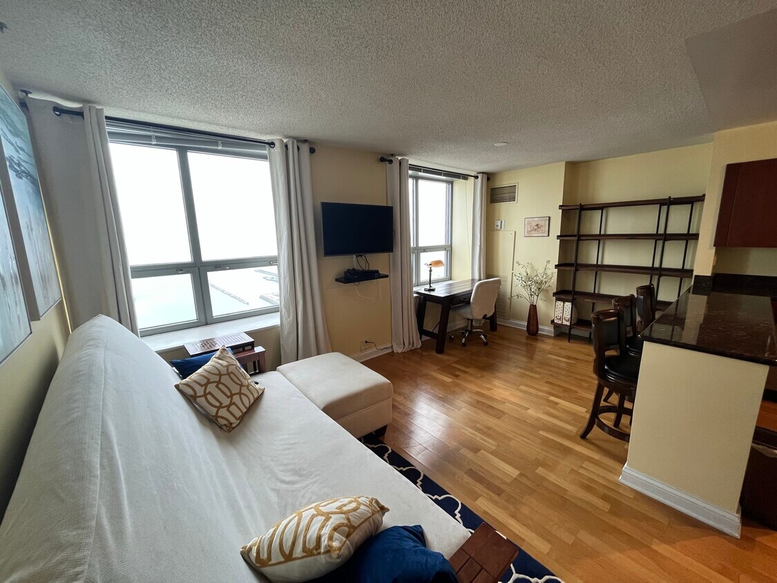 Living Area - 474 N Lake Shore Dr