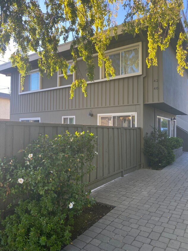 front of the backyard - 40 Hobart Ave