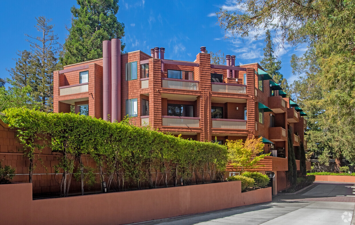 Building Photo - Palo Alto Redwoods