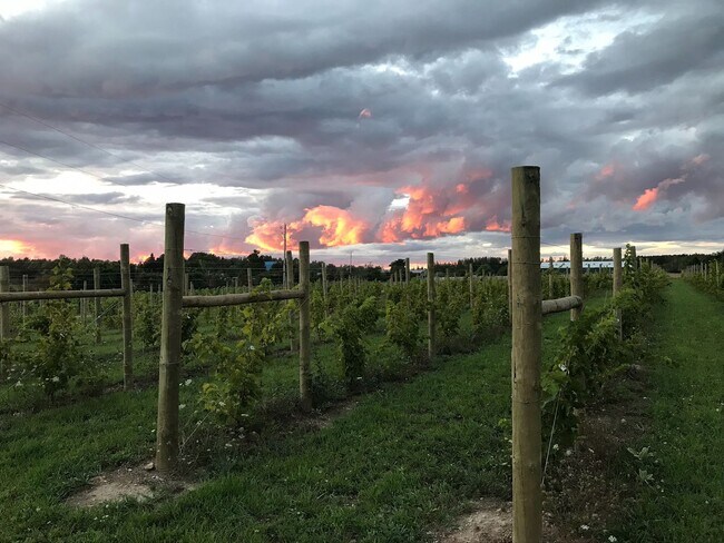 Foto del edificio - Blu Dot Farm 3