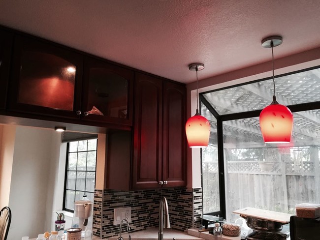 Building Photo - 1597 Camden Oaks Ct