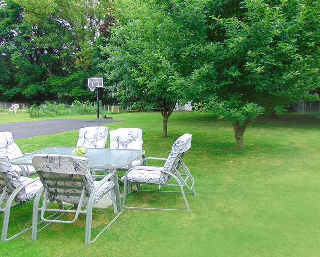 Backyard - 34 Elm St