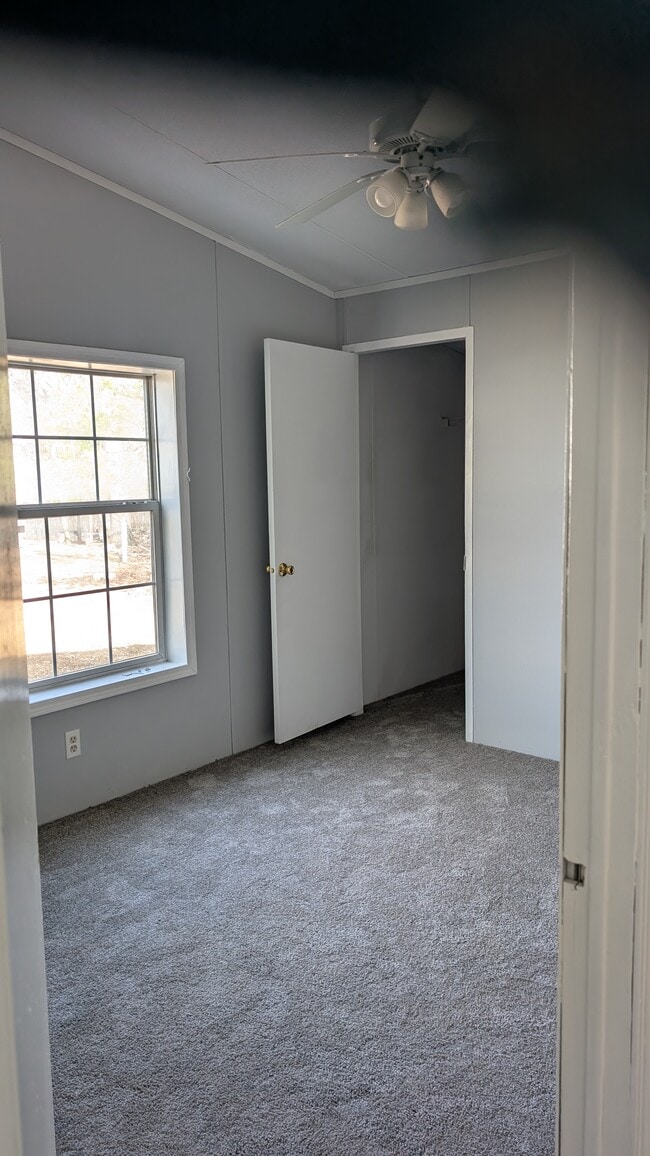 3rd bedroom - 291 Pebble Ln