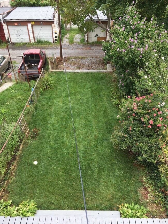 Back Yard (From Balcony) - 527 E Marion St