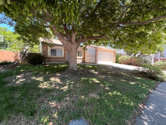 Building Photo - Fantastic Home in Central Fort Collins