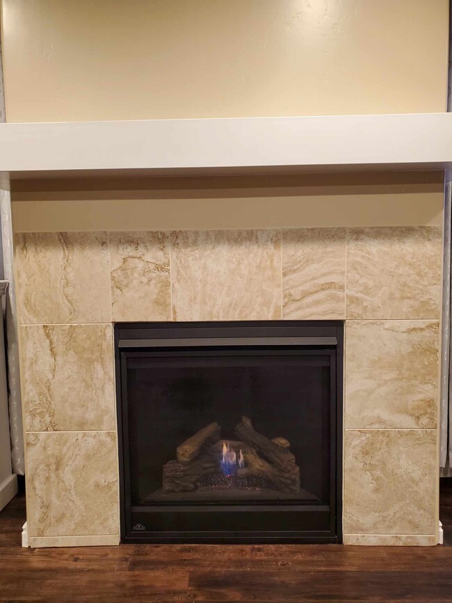 Gas Fireplace - 1097 S 1875 W