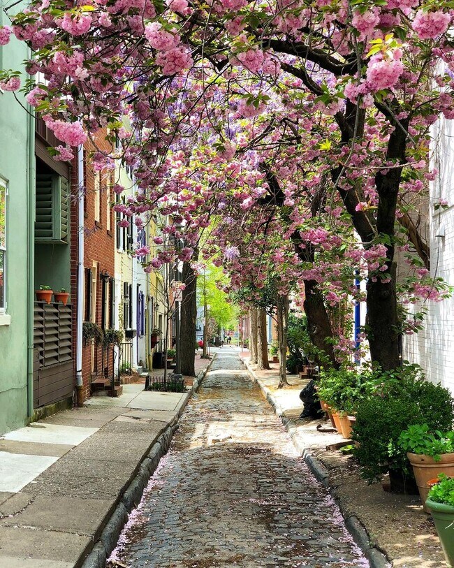 Building Photo - Spectacular 2-Bedroom End of Row Townhome ...