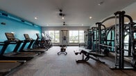 This modern fitness center is designed to support a full range of workout routines in a clean, well-organized environment. The space is defined by a bold teal accent wall that runs along one side, providing a vibrant contrast to the neutral gray walls and recessed-lit white ceiling. Patterned carpet tiles in gray and blue tones cover the floor throughout, adding texture and visual interest underfoot.

The cardio section is well-stocked with multiple treadmills, elliptical trainers, stair climbers, a recumbent bike, and a rowing machine, all positioned near large windows that allow ample natural light and outdoor views. Ceiling fans contribute to air circulation across the workout floor.

The strength-training area features a multi-station cable machine system, a pull-up and dip tower, adjustable benches, and a full rack of dumbbells spanning a wide weight range. Large mirrors line one wall, enhancing the sense of space and allowing users to monitor their form during exercises.

The entry area includes a wall-mounted television, a water station, and access to an adjacent room visible through an interior window. Exposed blue ductwork near the ceiling adds an industrial touch to the otherwise polished interior. The facility is thoughtfully laid out to maximize usability while maintaining an open, uncluttered feel.