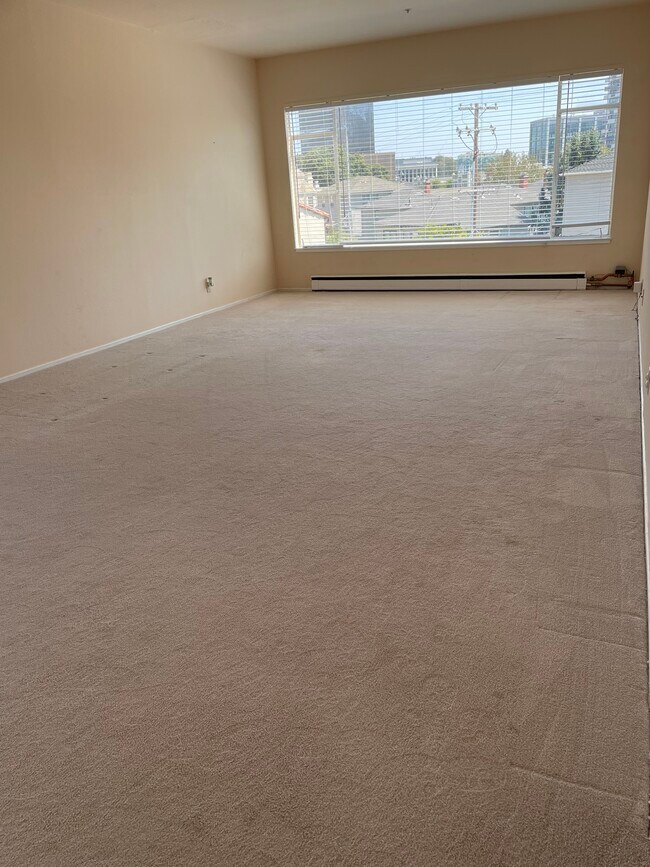 Living room - 215 Virginia Ave